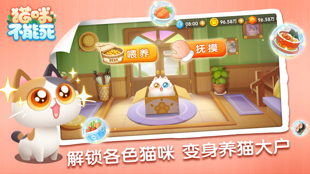 猫咪不能死2