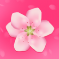 桃花聊天客户端