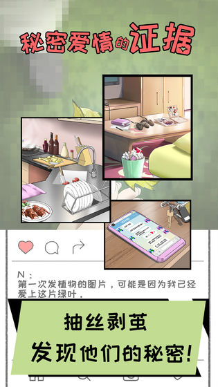 秘密爱情的证据游戏3