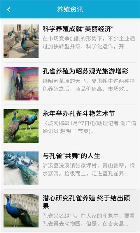 孔雀网1