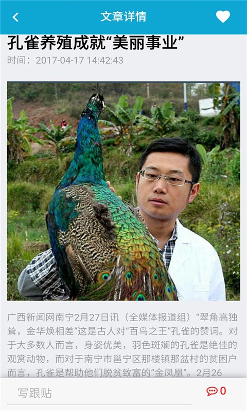 孔雀网3