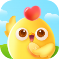 小鸡来啦领红包