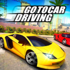 去开车Go To Car Driving去广告版 游戏
