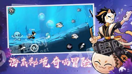 忍者必须死31.0.993