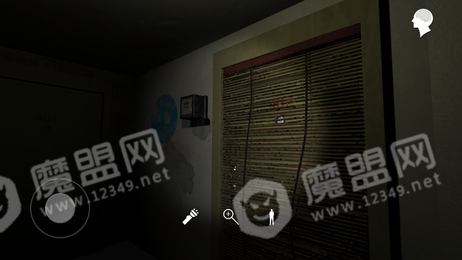 孙美琪疑案金凤凰3