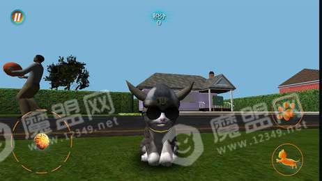 真实小猫3D模拟3