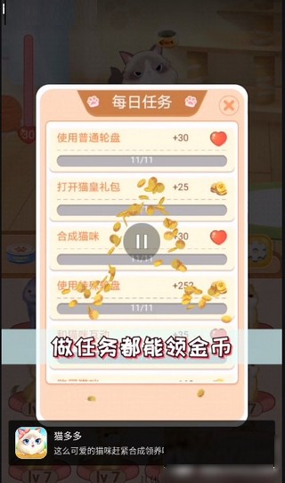 猫多多2
