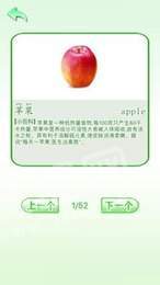 学前认知教育2