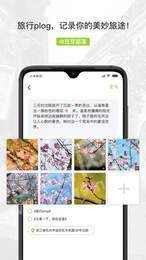 豆芽部落3