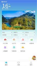 智慧林火3