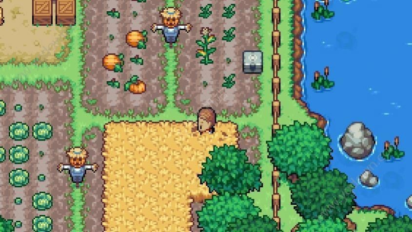 科洛蒙coromon1.14.0完整版3