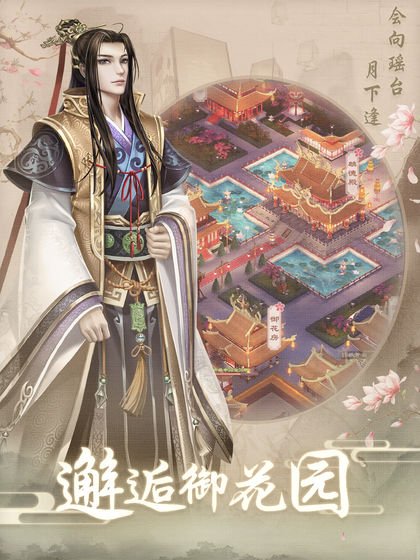 上错花轿嫁对王安卓版4