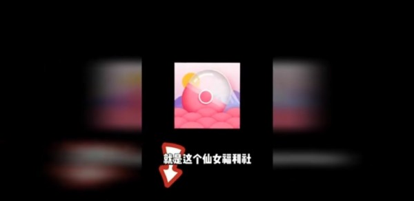 仙女福利社app正版2