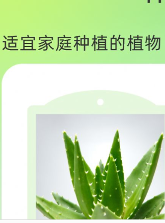 花田庄园最新版免费安装2
