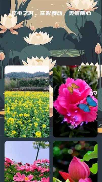花影充电app官方版1