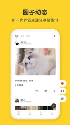 尖叫猫1