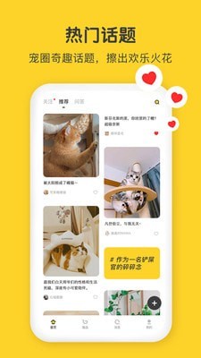尖叫猫app2