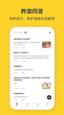 尖叫猫安卓版4