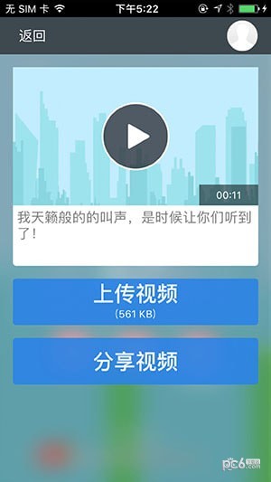 尖叫鸟游戏1