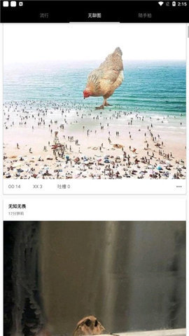 煎蛋官方版1