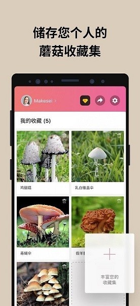 蘑菇识别扫一扫app安卓客户端1