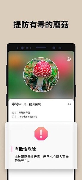 蘑菇识别扫一扫app安卓客户端2