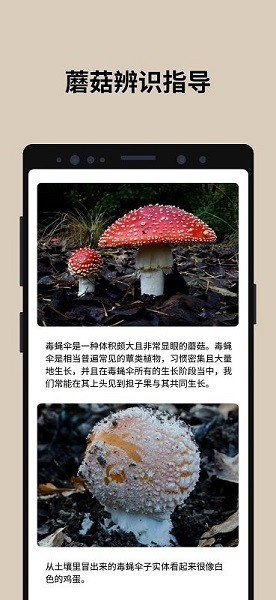 蘑菇识别扫一扫app安卓客户端3