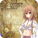 圣装女骑士v1.0 手机版、