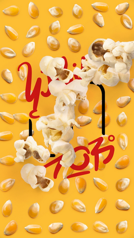 盛开之歌中文版下载 v1.013