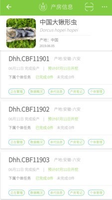 甲虫饲育者安卓版3