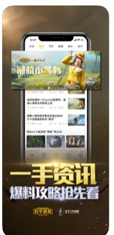 和平精英巡查系统申请4