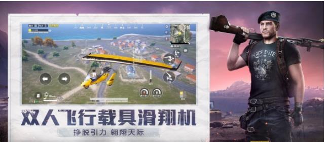 和平精英小蜜蜂插件2