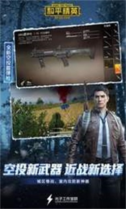 和平精英神明辅助器免费2
