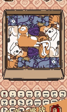 盒子猫软件2
