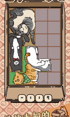 盒子猫中文版1