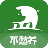 不愁养猪最新版