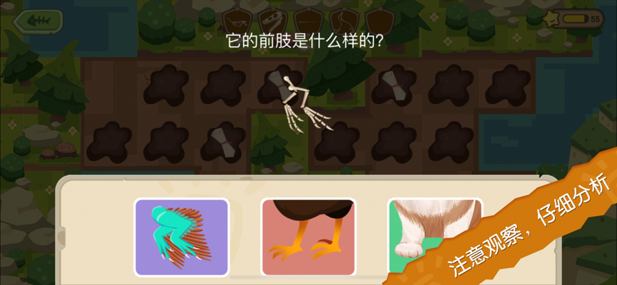 恐龙考古队4