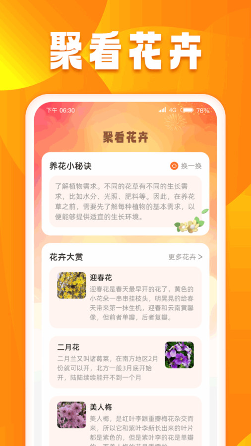 口袋聚看app3