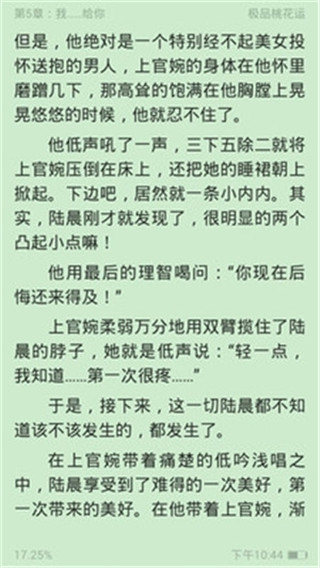 口袋小说安卓版1