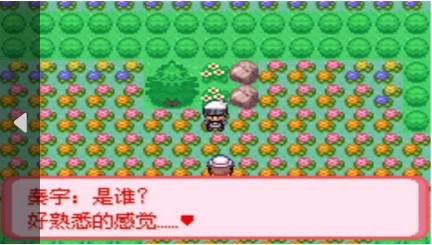 口袋妖怪暗古神坛传说8.0金手指4