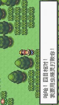 口袋妖怪极光石汉化版1