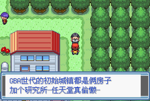 口袋妖怪永恒之焱6