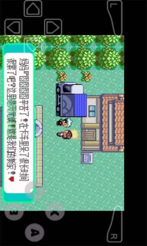 口袋妖怪暗之冰花3