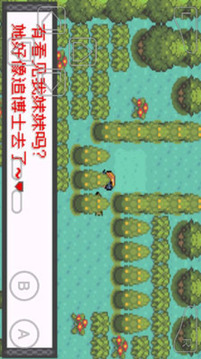 口袋妖怪暗兽神内置作弊菜单2