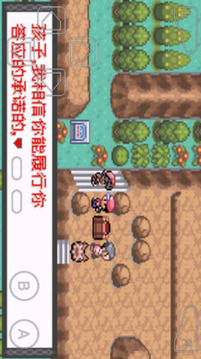 口袋妖怪暗兽神内置作弊菜单3