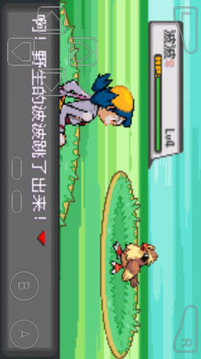 口袋妖怪暗黑水银安卓版4