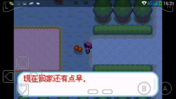 口袋妖怪赤红3