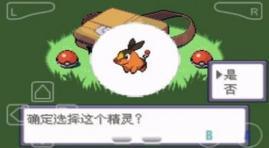 口袋妖怪花月残汉化版2