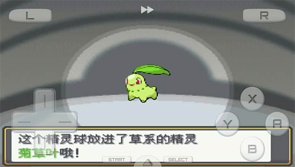 口袋妖怪金银中文版1