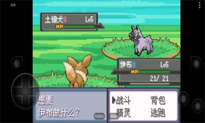 口袋妖怪四季之约3